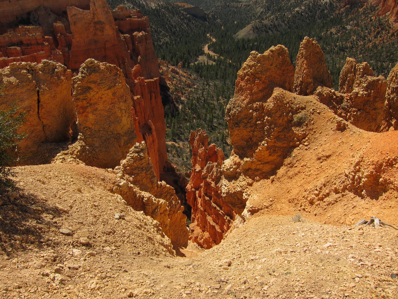There are trails under the rim, and also from the valleys below.
